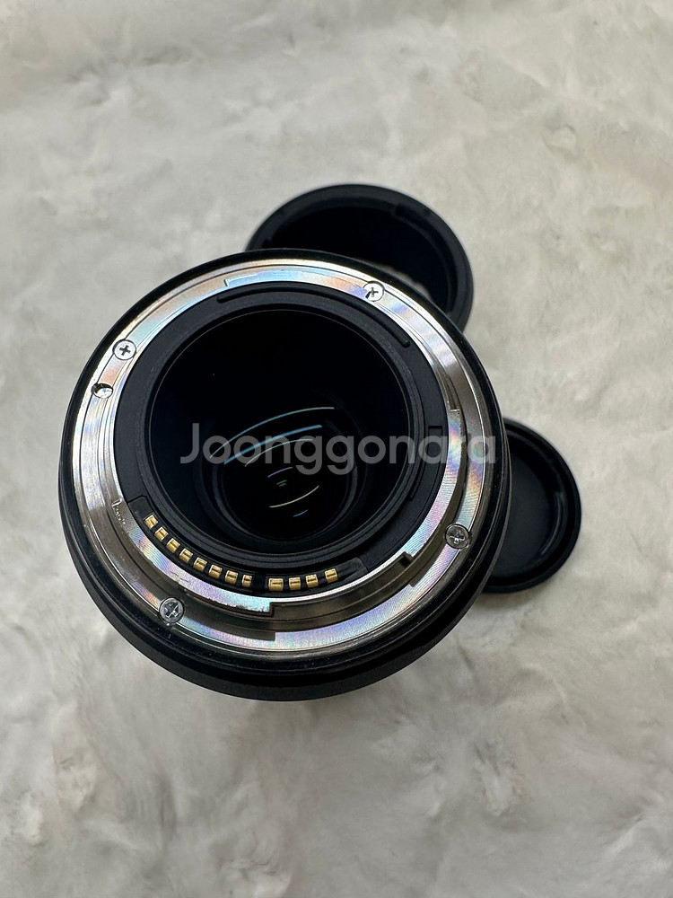 Canon RF 100mm F2.8 L Macro IS--3