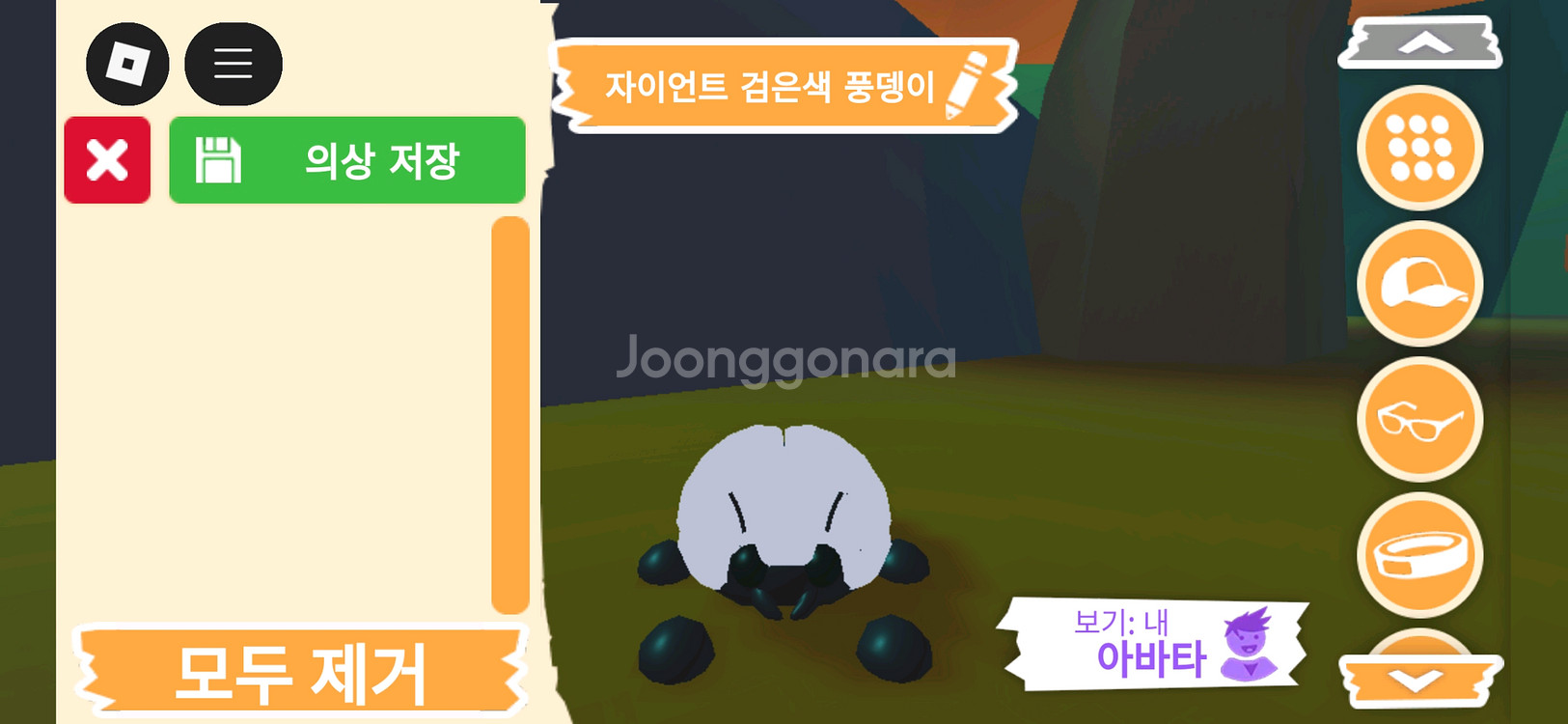 입양하세요 펫 메가네온 자이언트 검은색 풍뎅이 판매해요--0