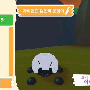 입양하세요 펫 메가네온 자이언트 검은색 풍뎅이 판매해요