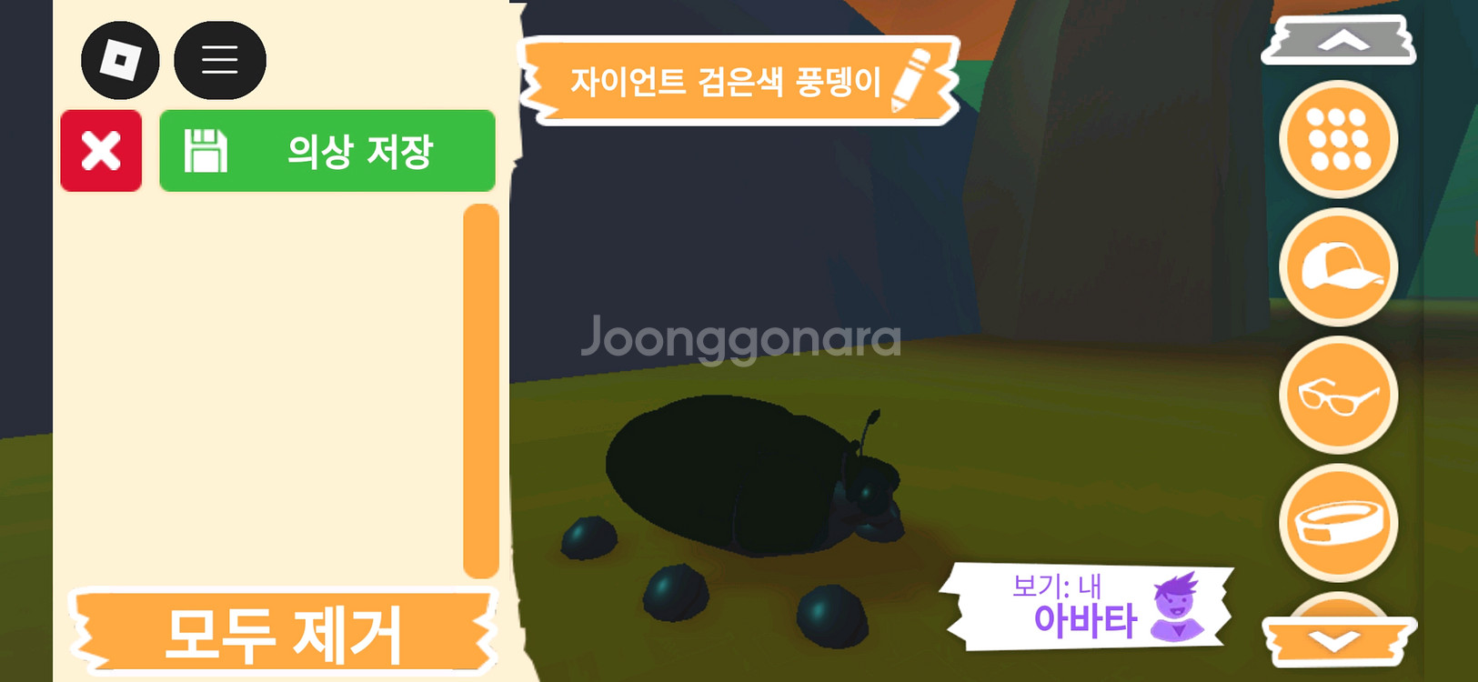 입양하세요 펫 메가네온 자이언트 검은색 풍뎅이 판매해요--1