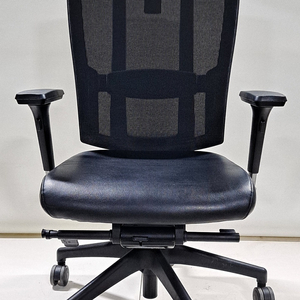 듀오텍스 의자 (BR-S200C)