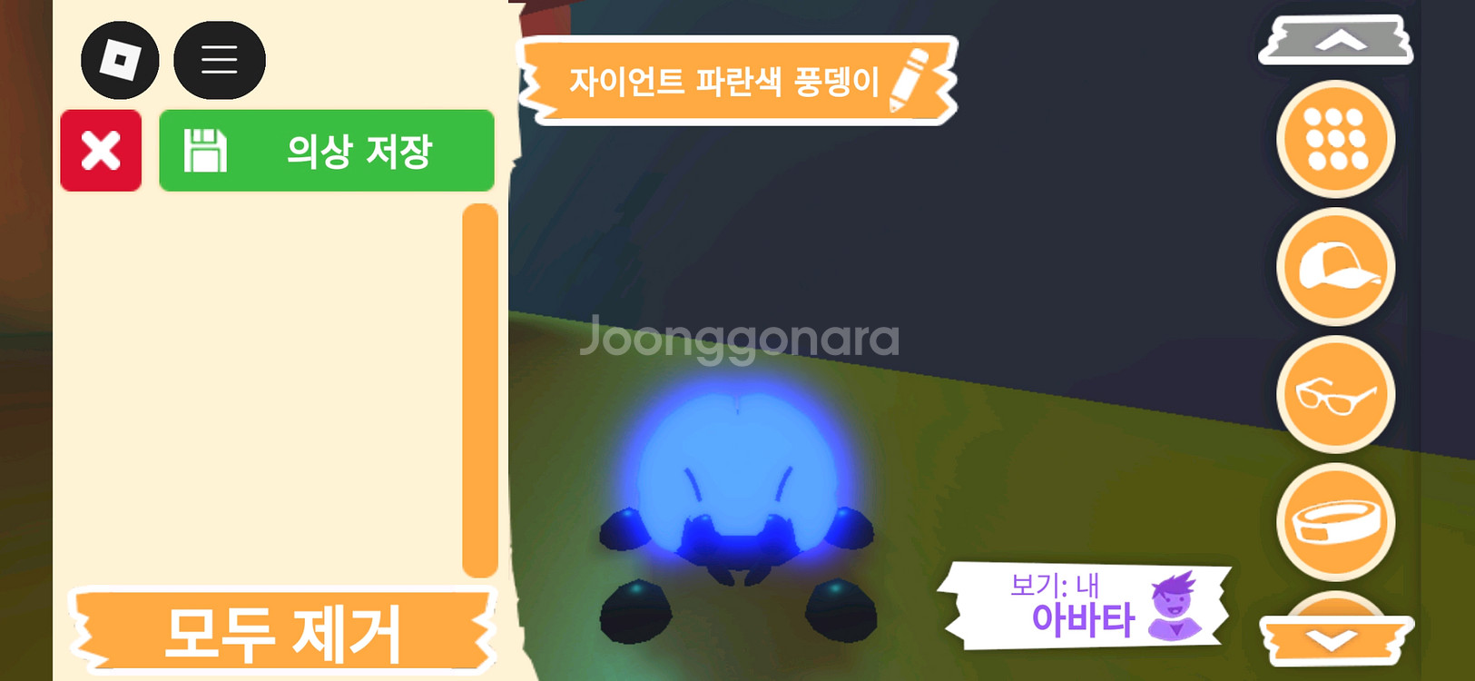 입양하세요 펫 메가네온 자이언트 파란색 풍뎅이 판매해요--0