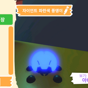 입양하세요 펫 메가네온 자이언트 파란색 풍뎅이 판매해요