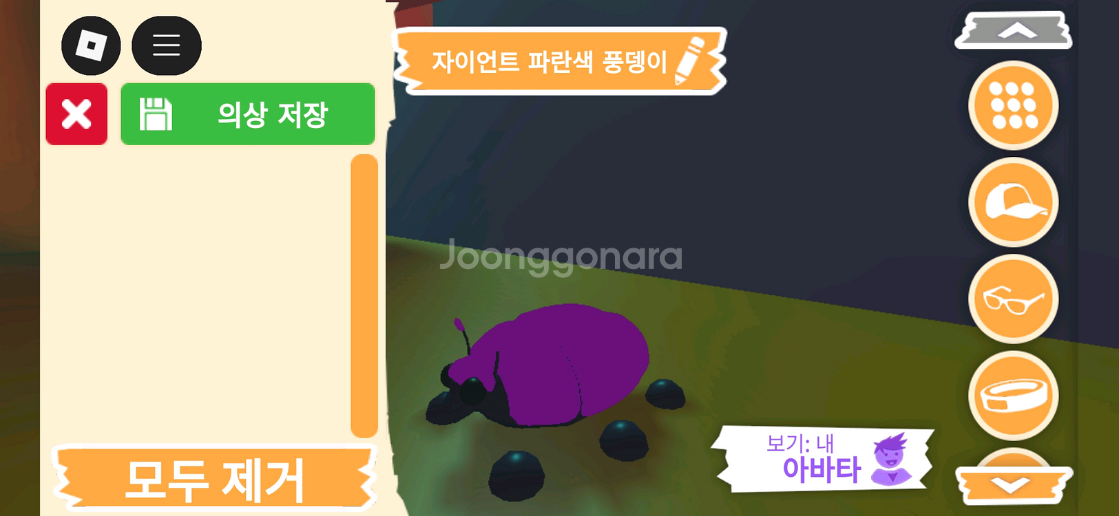입양하세요 펫 메가네온 자이언트 파란색 풍뎅이 판매해요--1