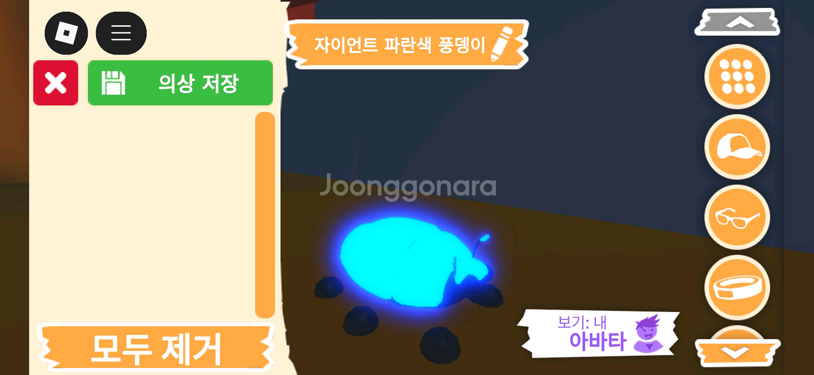 입양하세요 펫 메가네온 자이언트 파란색 풍뎅이 판매해요--2