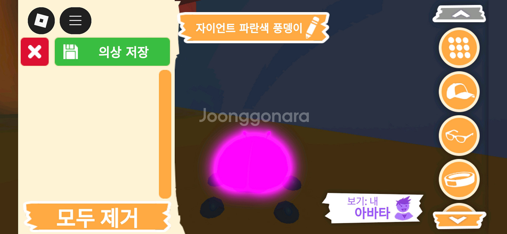 입양하세요 펫 메가네온 자이언트 파란색 풍뎅이 판매해요--3