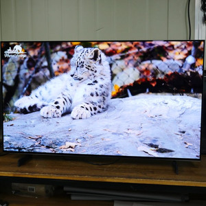 엘지 42인치 OLED 티비 OLED42C5KNA