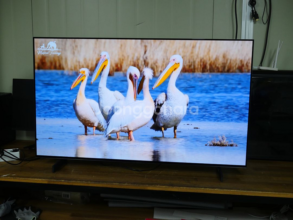 엘지 42인치 OLED 티비 OLED42C5KNA--1