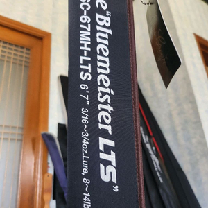 에버그린 헤라클래스 블루마이스터 lts