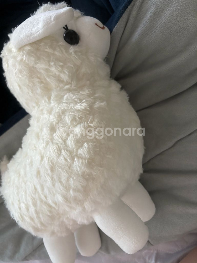 인형--0