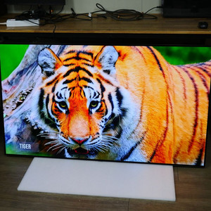 엘지 올레드 65인치 티비 벽걸이 OLED65B1FNA