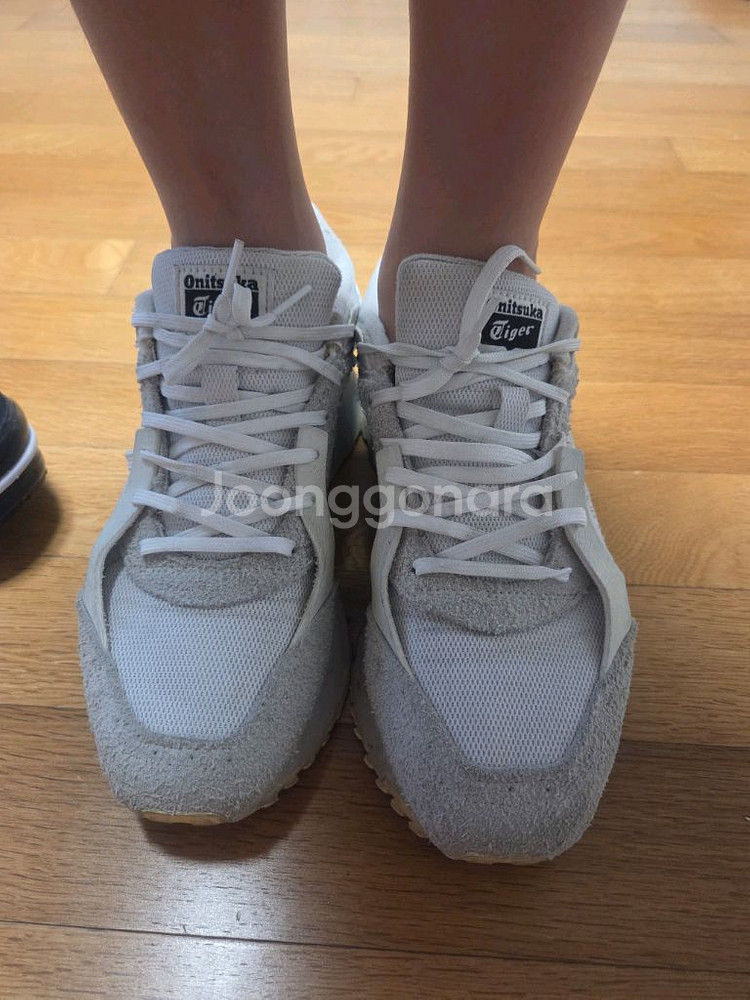 오니츠카타이거--0