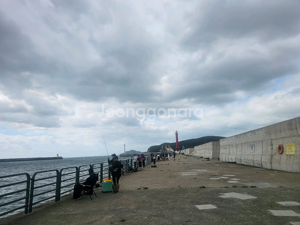 280~310 고무보트 및 4.9마력 선외기--0