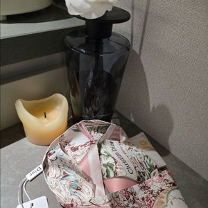 디올 트윌리 스카프