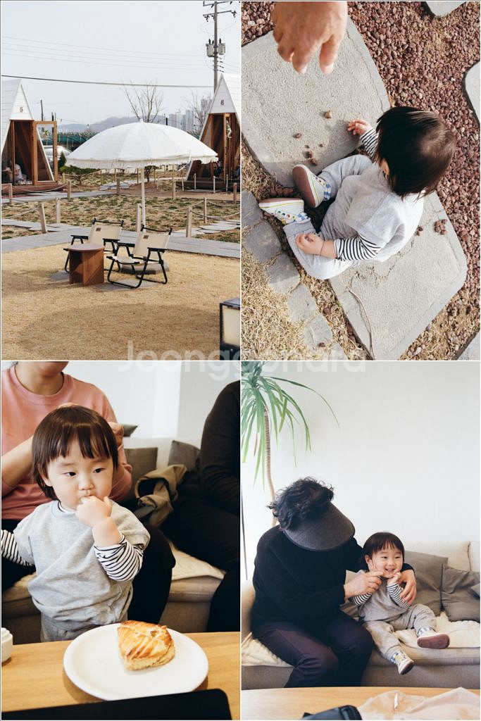 니콘 F55 필름카메라 표준줌, 망원줌 세트--4