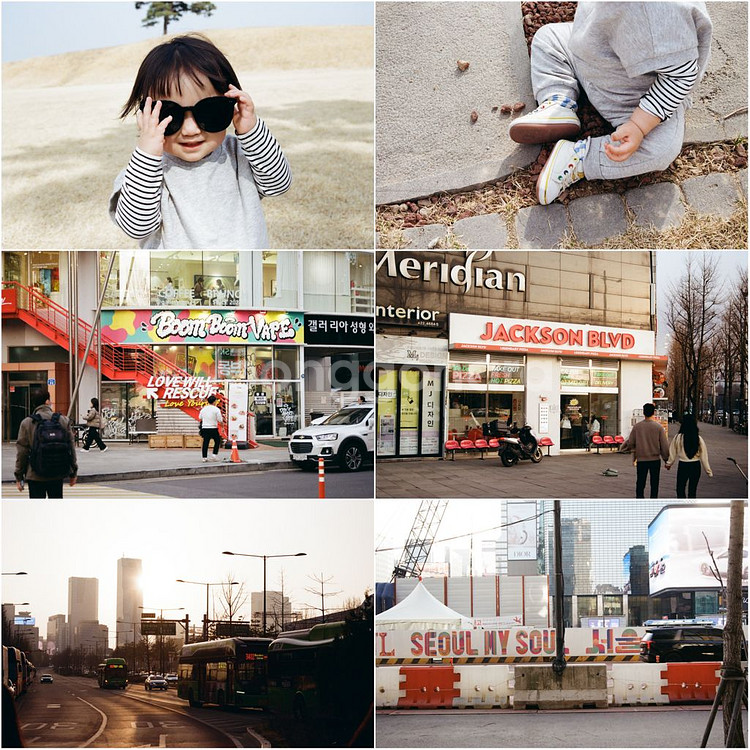 니콘 F55 필름카메라 표준줌, 망원줌 세트--5