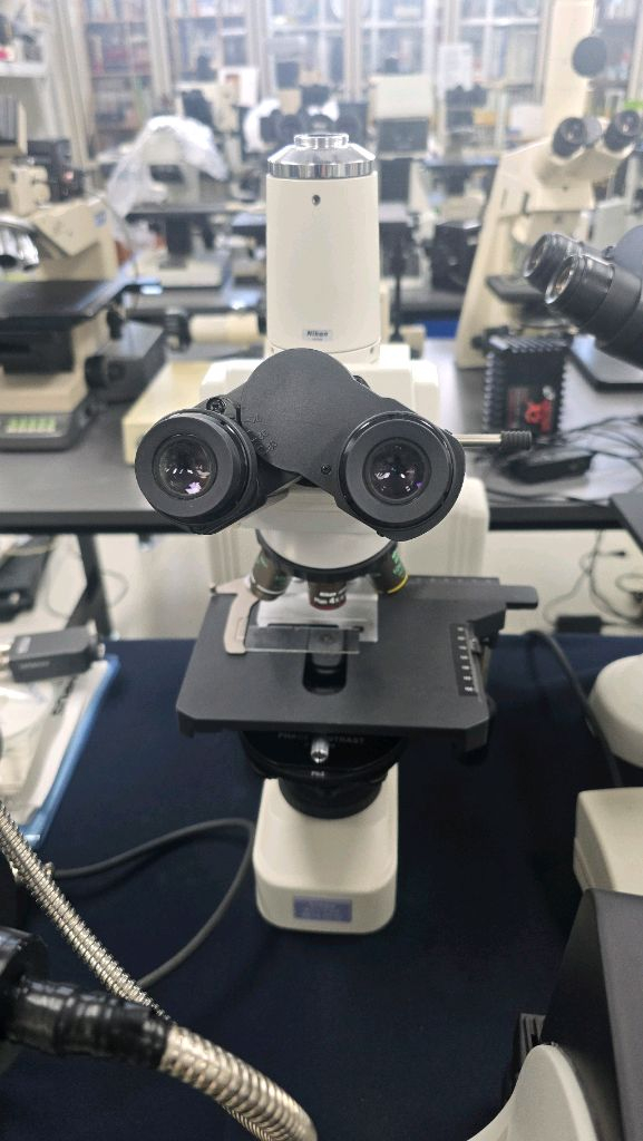 니콘 위상차현미경 E400 PH 이미지