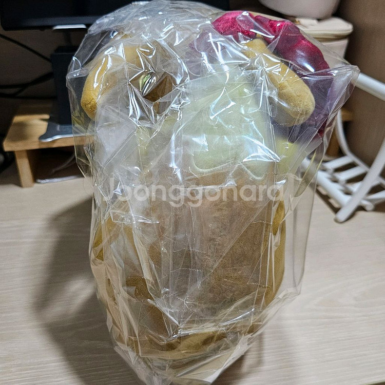 거다이맥스이브이 포켓몬센터--2