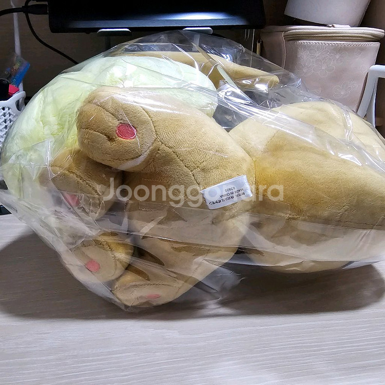 거다이맥스이브이 포켓몬센터--4