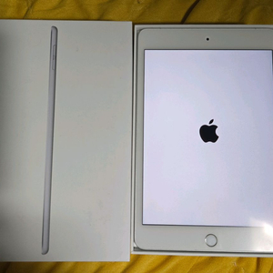 아이패드 미니5세대 64g 셀룰러