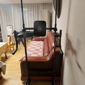 핏분 치닝디핑 풀업턱걸이딥스