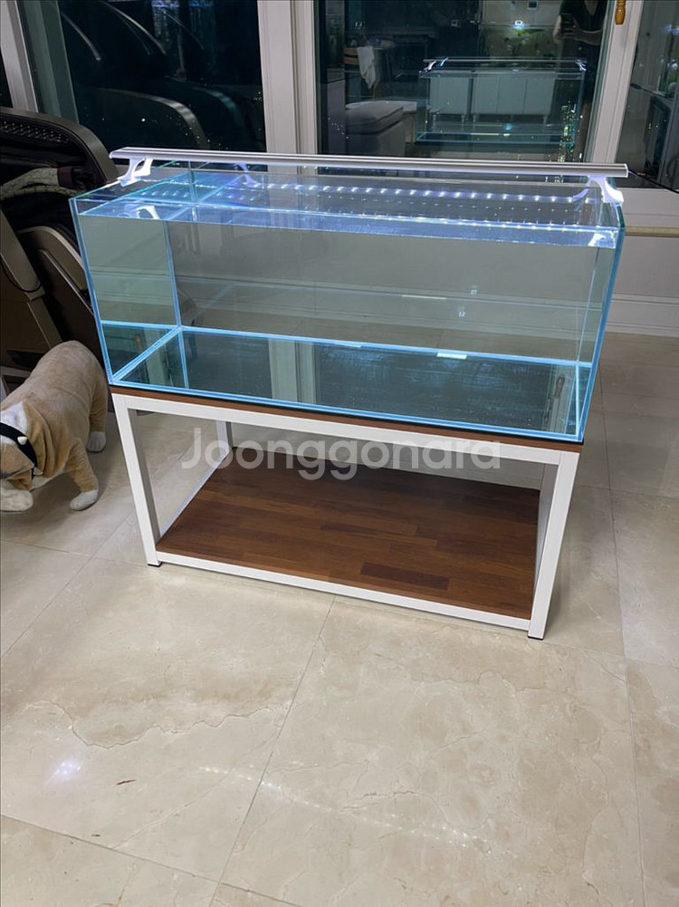 (경기 북부) 프리미엄 3자 광폭 수조 90x45x35--7