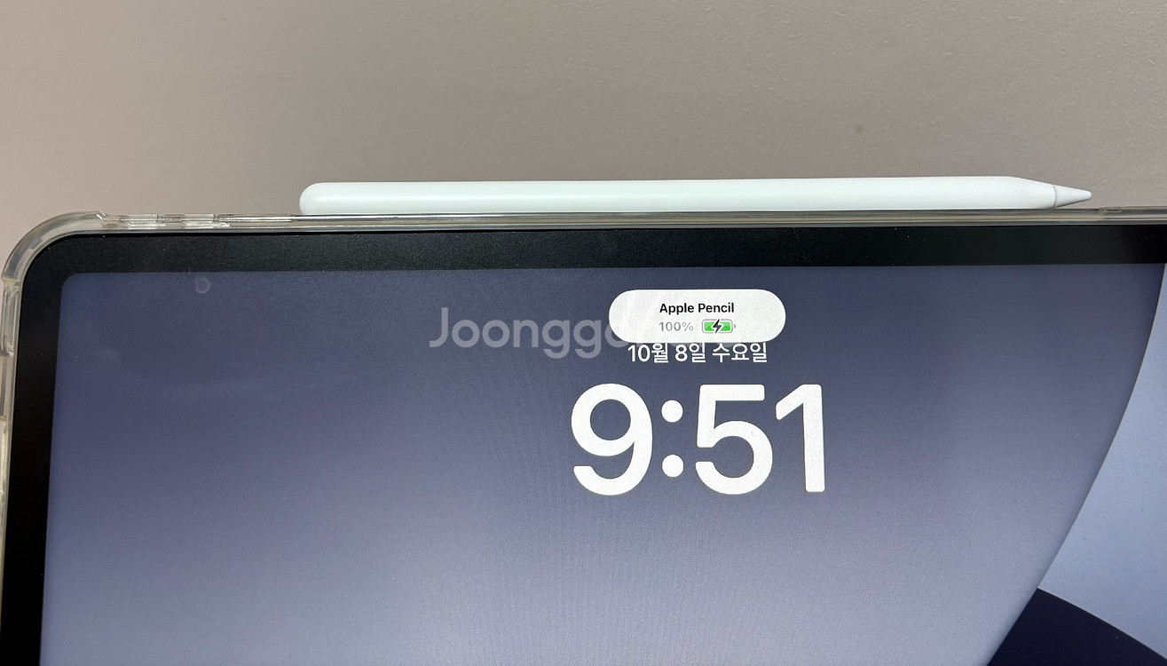 애플펜슬 2세대--5