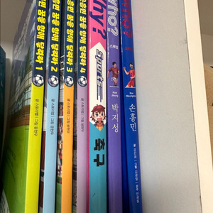 손흥민 도서