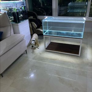 (경기 북부) 프리미엄 3자 광폭 수조 90x45x35