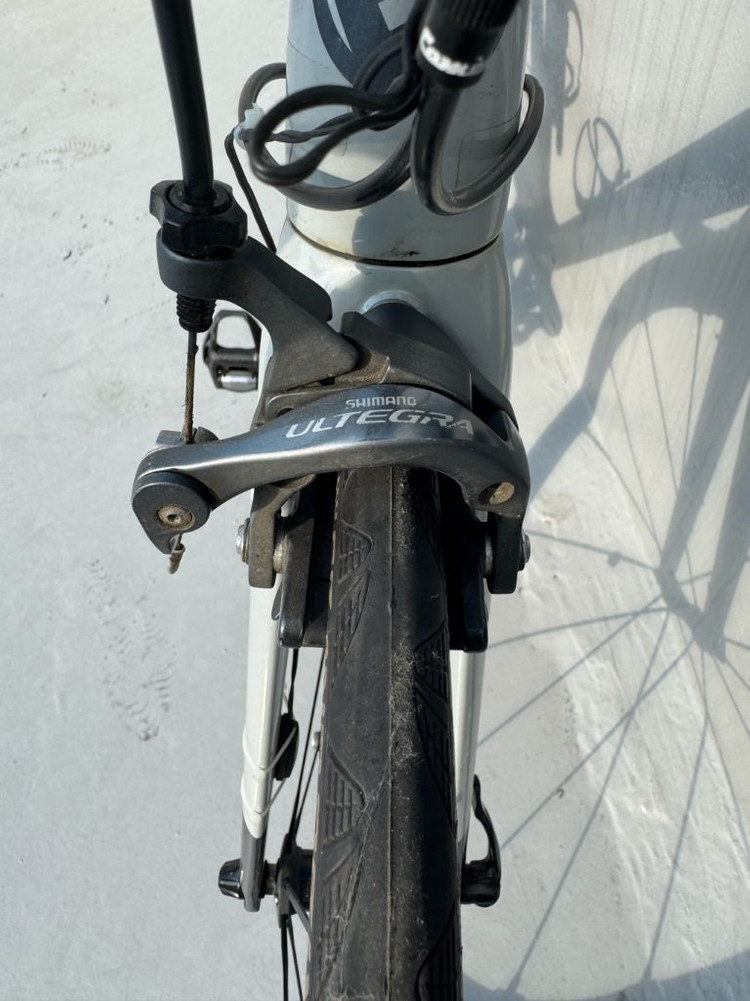 2019 엔진11 스카이라인 M 울테그라 펄레제 완차--4