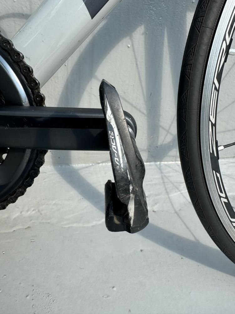 2019 엔진11 스카이라인 M 울테그라 펄레제 완차--7