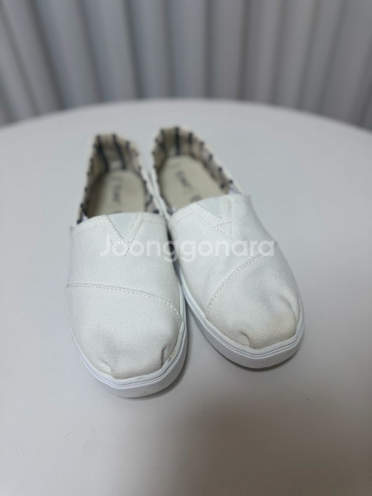 탐스 슬립온 245(W7.5)--1