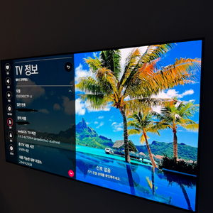 LG OLED65C7P 65인치 올레드 TV