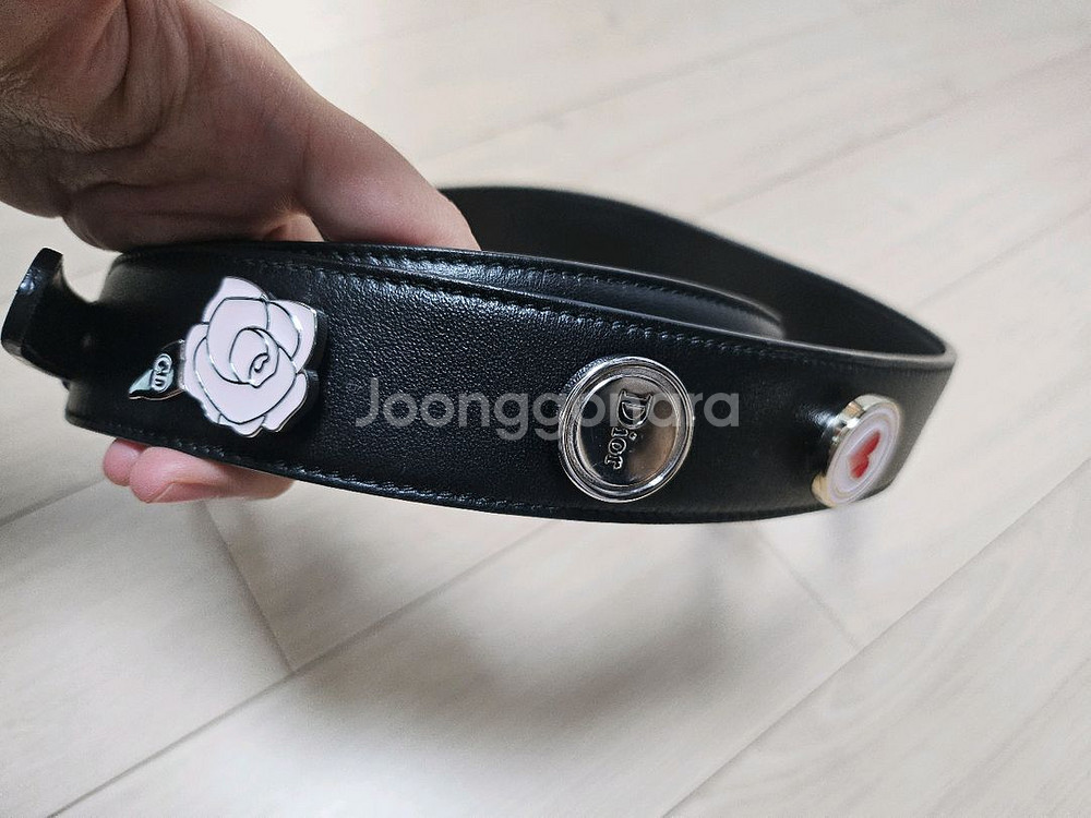 디올 레이디백 스몰 은장--8