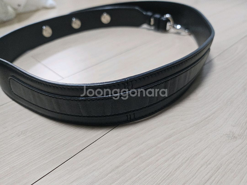 디올 레이디백 스몰 은장--7