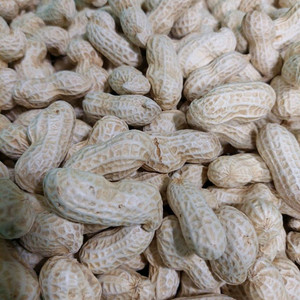 땅콩 1kg