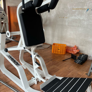 이카리안 브이스쿼트