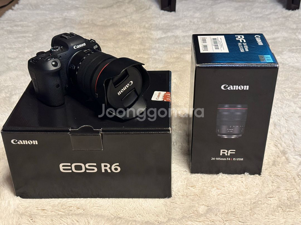캐논 eos r6 풀프레임 미러리스 카메라--0