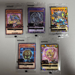 유희왕카드 일본판 하이츄 콜라보 5종 미개봉 일괄