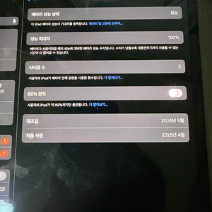 아이패드 M4 13 프로 256 셀룰러