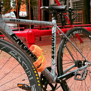 엔진11 볼텍스 2025 xs 사이즈