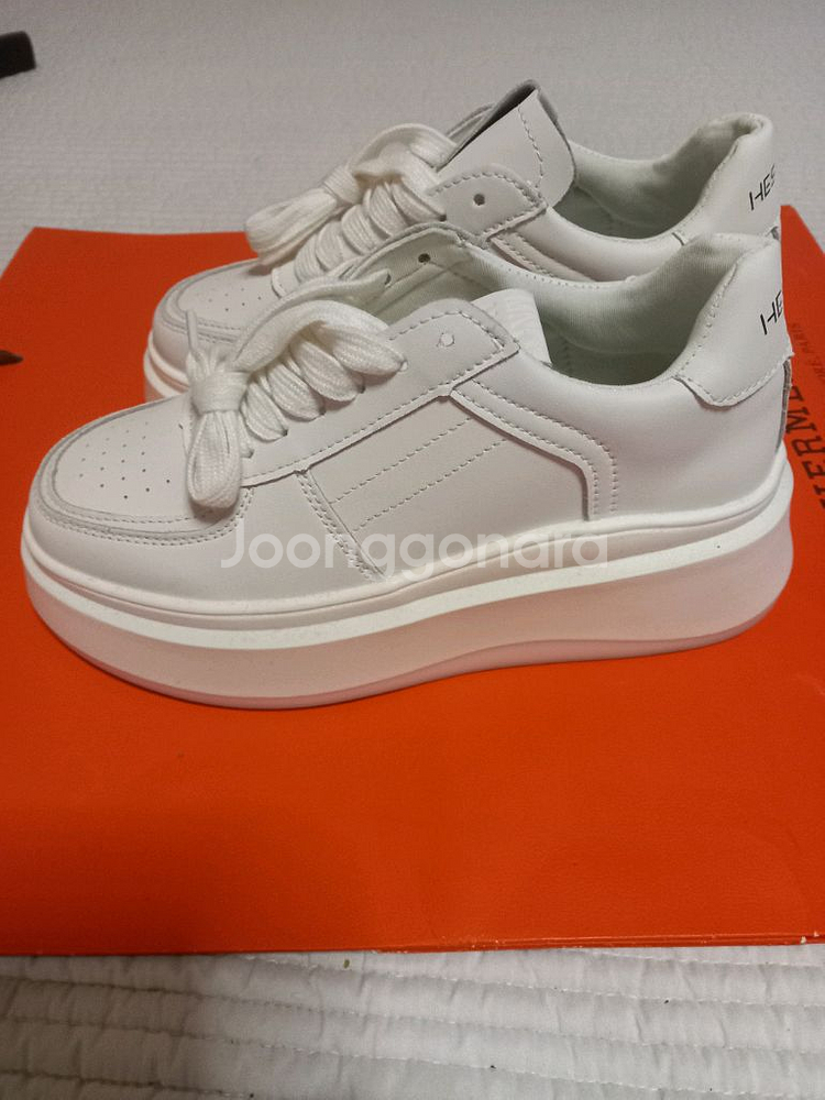 키높이운동화--1