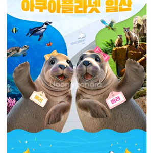 일산아쿠아플라넷 입장권 19000
