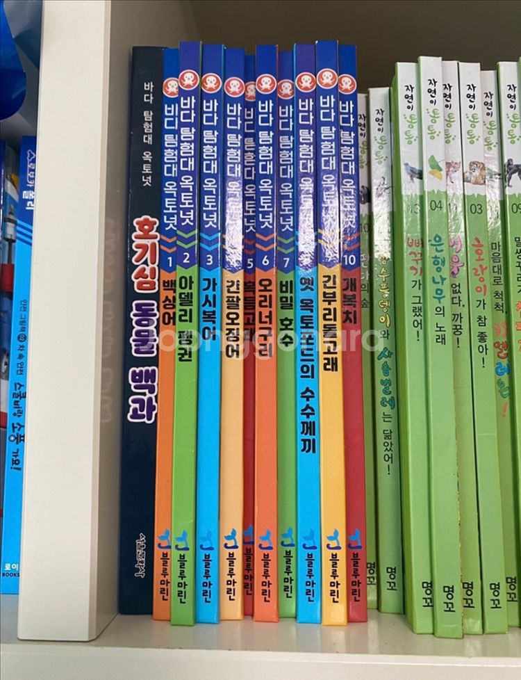 바다탐험대 옥토넛 책 10권+ 옥토넛 호기심 동물 백과--0