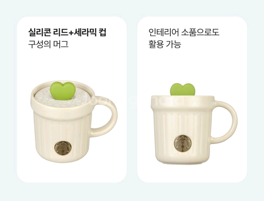 스타벅스 플라워 마켓 다육이 머그 237ml 세트--1