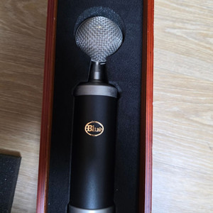 Blue의 Baby Bottle SL 컨덴서 마이크