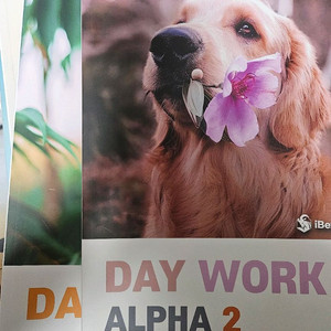 ibex study day work alpha 2~8