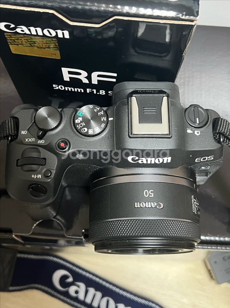 캐논 r8+rf50.8 일괄--2