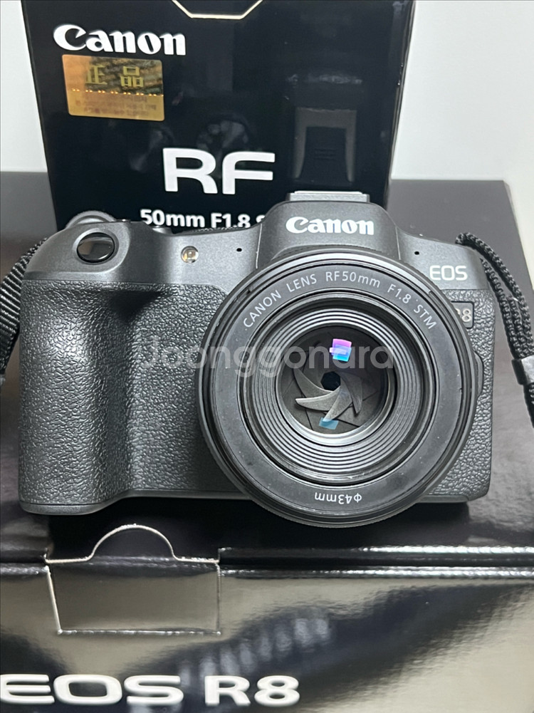 캐논 r8+rf50.8 일괄--1
