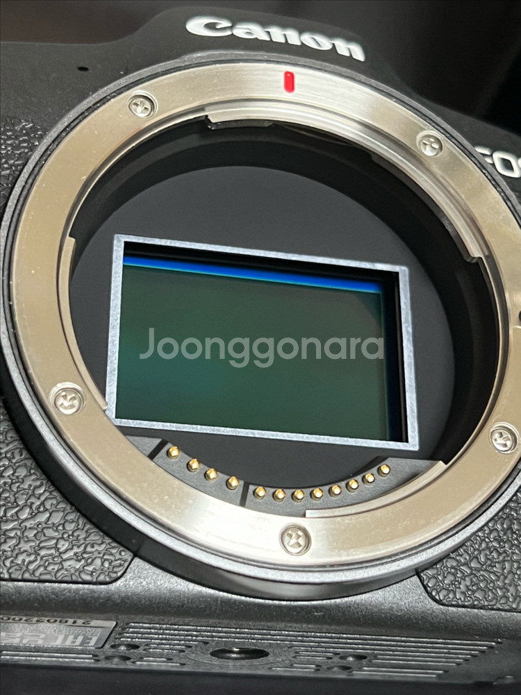 캐논 r8+rf50.8 일괄--7